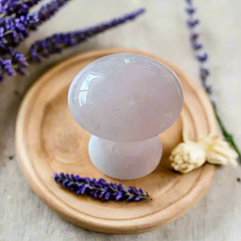 Gua Sha Ciupercă din Cuarț – Drenaj Facial, Lifting și Strălucire Naturală